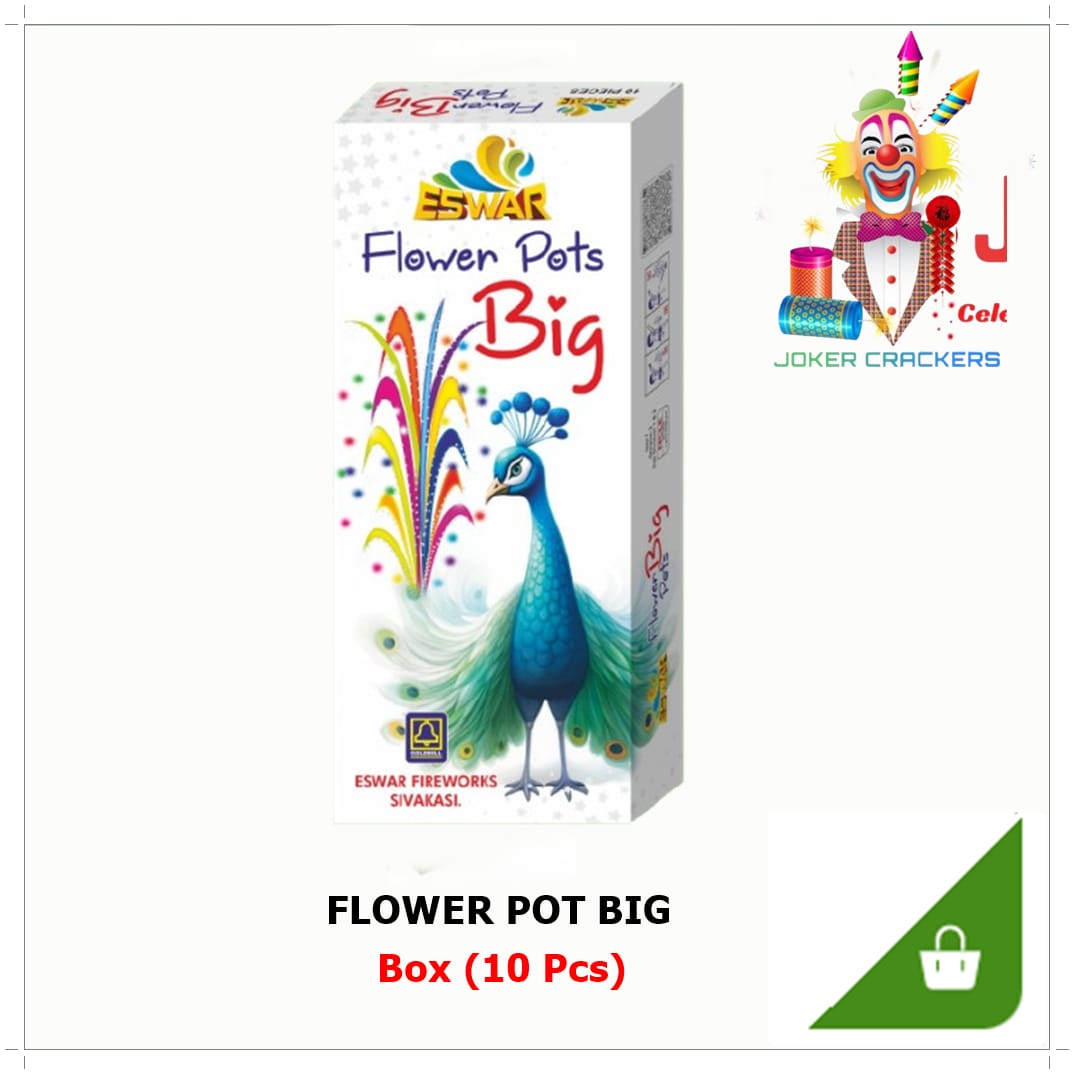 Flower Pots Big             (10 Pcs)